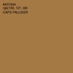 #A57944 - Cape Palliser Color Image